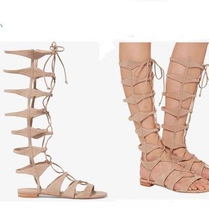 ! Schutz Violetta Gladiators Sandals Size 6.5